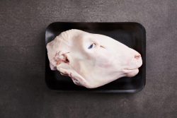 Delico Sheep Head (Frozen, Pot ready)