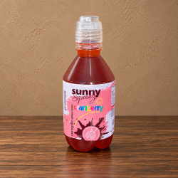 Impala Kiddies Cranberry Juice 350ml