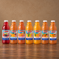 Magalies Concentrate Juices 1L